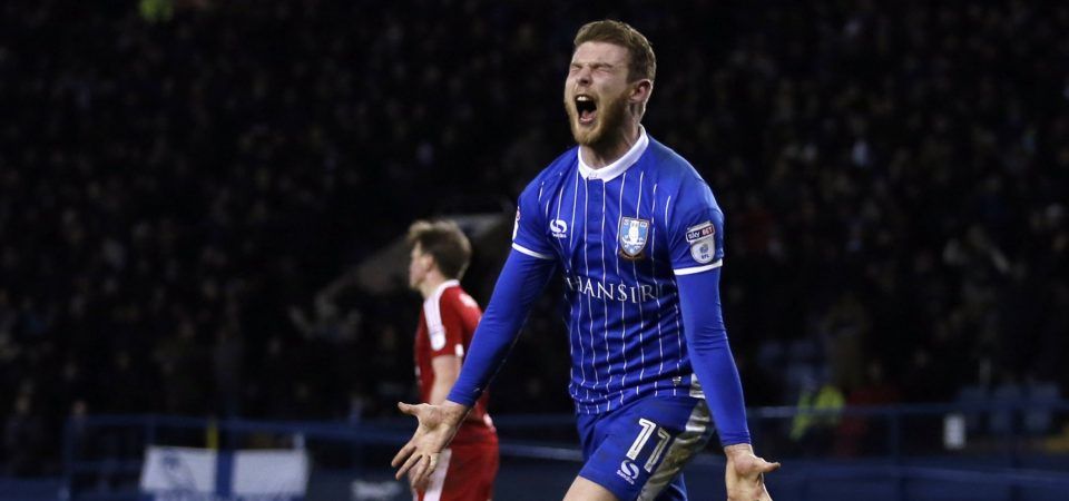 Injury News: Sam Winnall is back in contention for Sheffield Wednesday