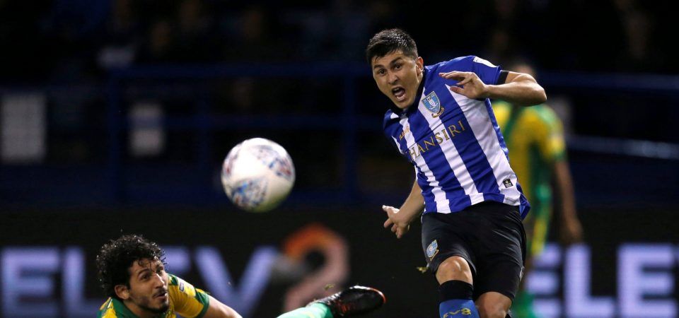 Forestieri would be perfect for Sheffield Wednesday now