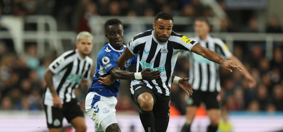 Newcastle: Callum Wilson underwhelmed against Everton